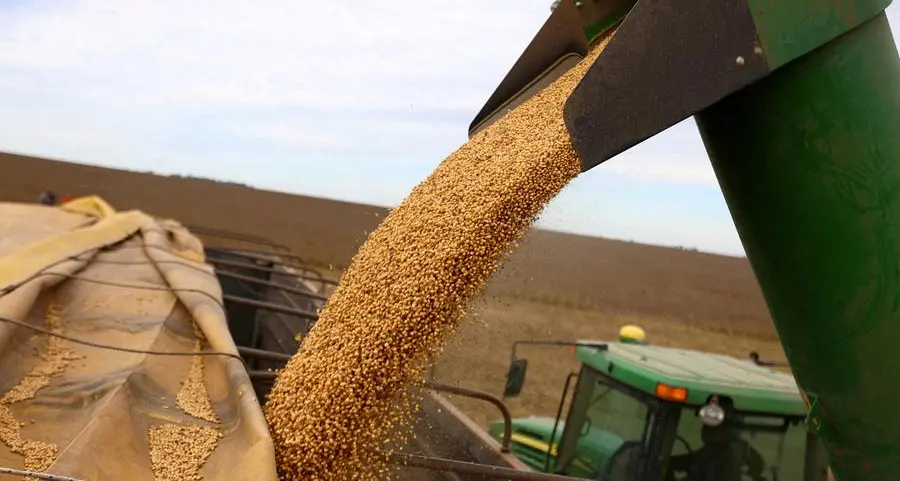 Soybeans fall 1% as market awaits Chinese buying; wheat, corn down