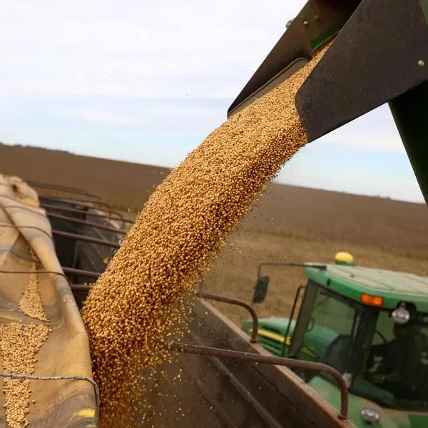 Soybeans little changed as ample supplies limit upside in prices
