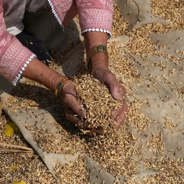 India raises purchase price of rice by 3%, lowest increase in five years