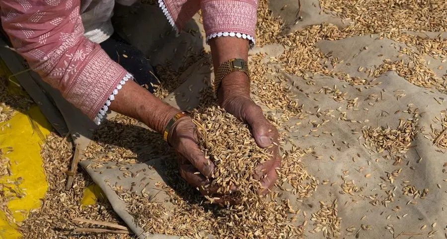 India raises purchase price of rice by 3%, lowest increase in five years