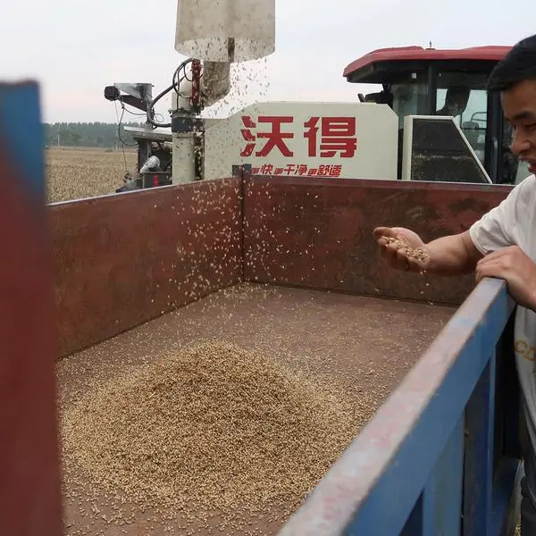 Soybeans, wheat and corn boosted by weak dollar, fund buying