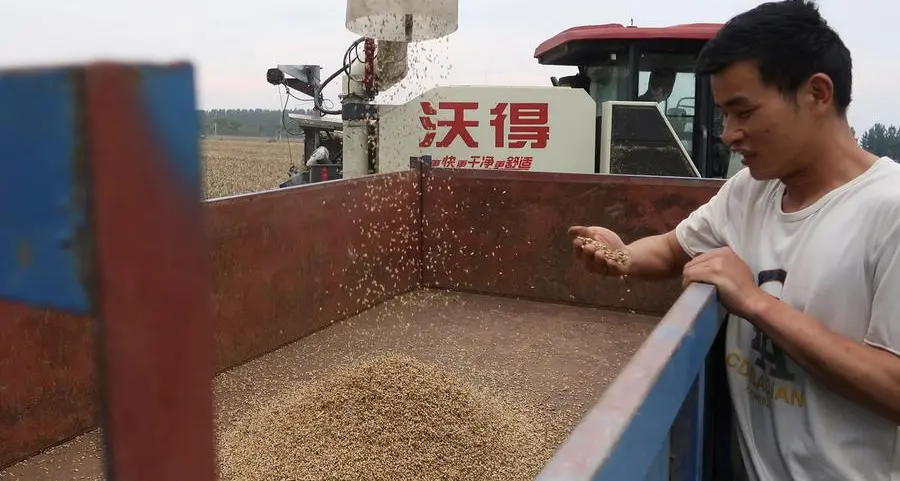 Soybeans, wheat and corn boosted by weak dollar, fund buying