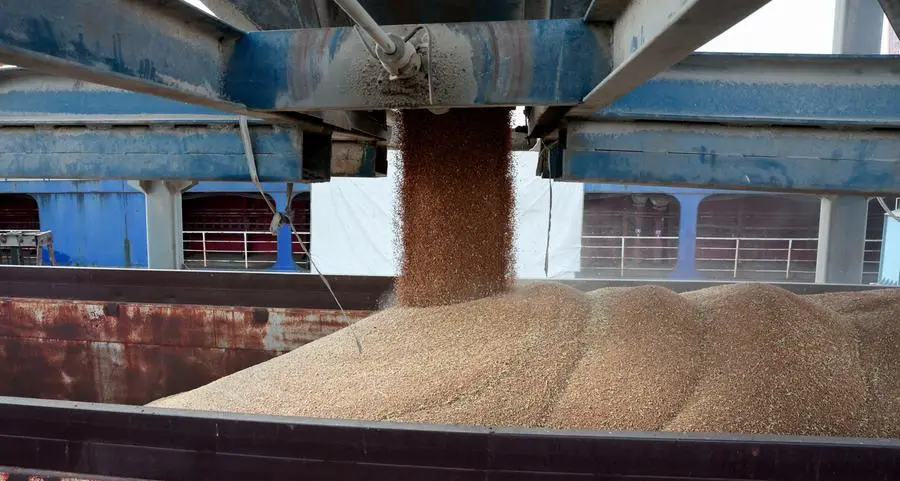 Jordan issues tender to buy up to 120,000 metric tons wheat, traders say
