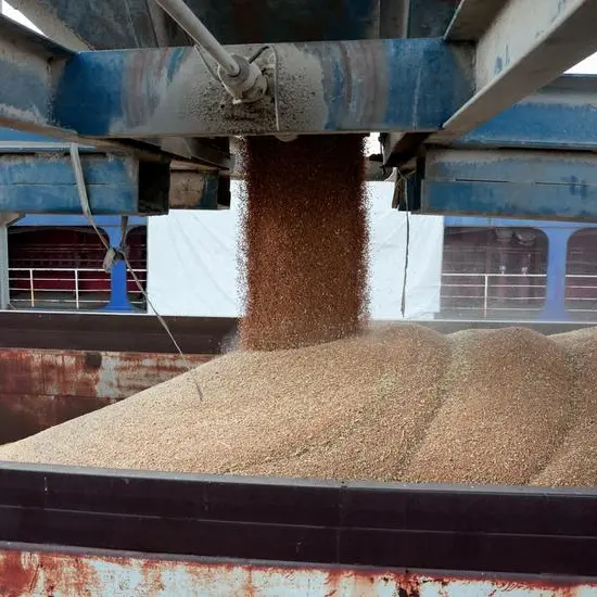 Jordan issues tender to buy up to 120,000 metric tons wheat, traders say