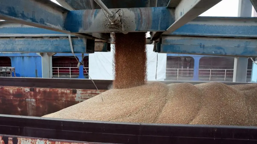 Jordan issues tender to buy up to 120,000 metric tons wheat, traders say