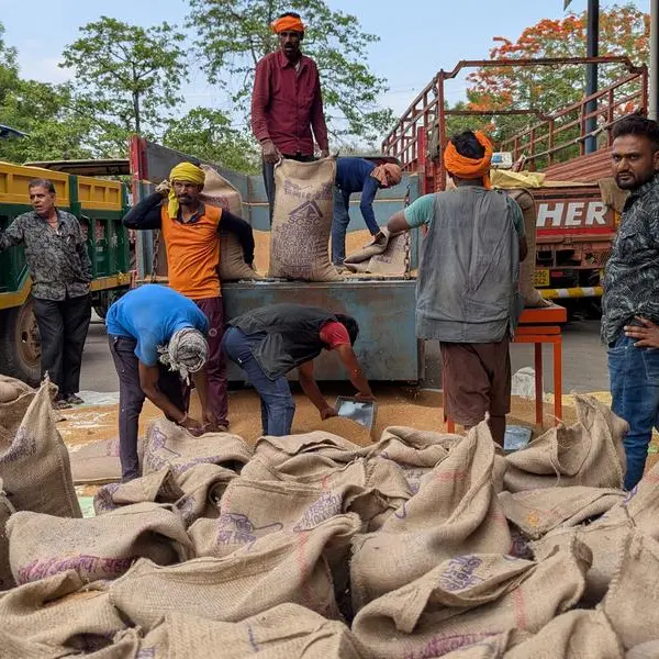 India set for record wheat planting as soil moisture and prices rise