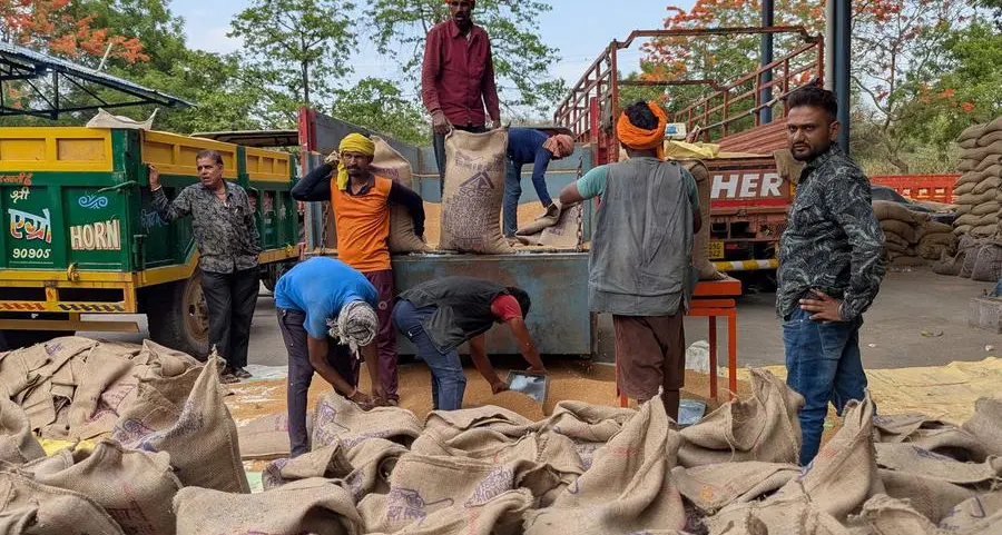India set for record wheat planting as soil moisture and prices rise