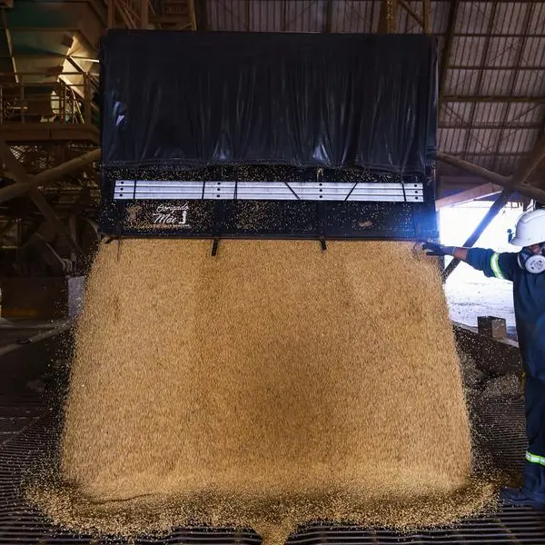 Soybeans hold firm on US weather, Chinese demand and oil rally