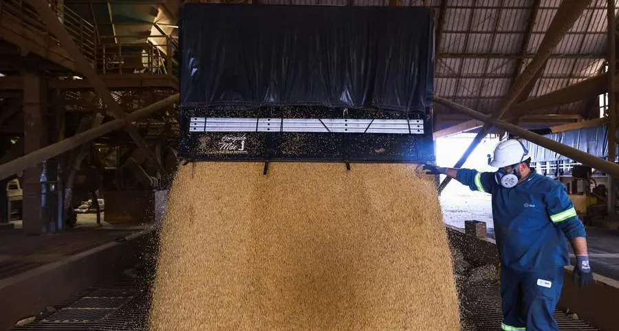 Soybeans hold firm on US weather, Chinese demand and oil rally