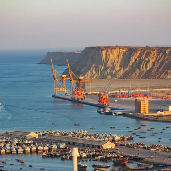 AD Ports, Louis Dreyfus to establish grain terminal in Pakistani port