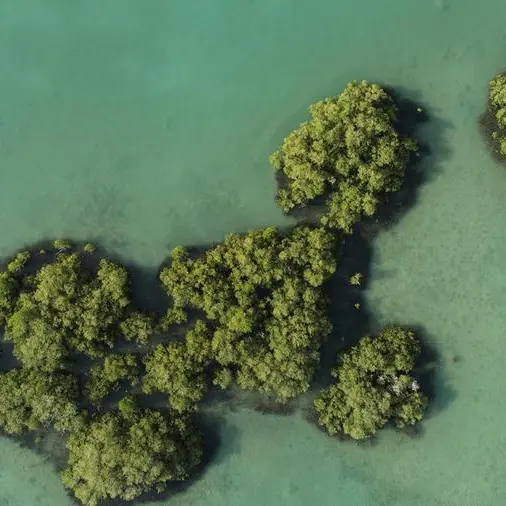 \"البحر الأحمر\" أول وجهة في السعودية تنال شهادة \"إيرث تشيك\" العالمية للاستدامة