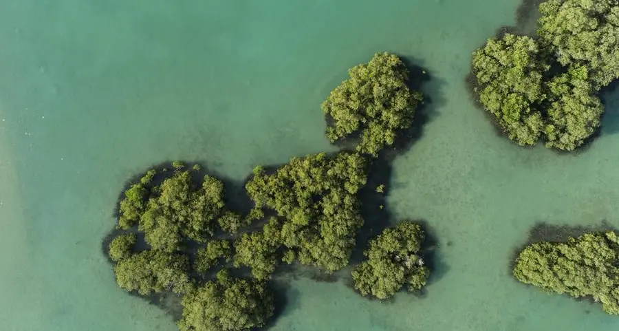 \"البحر الأحمر\" أول وجهة في السعودية تنال شهادة \"إيرث تشيك\" العالمية للاستدامة