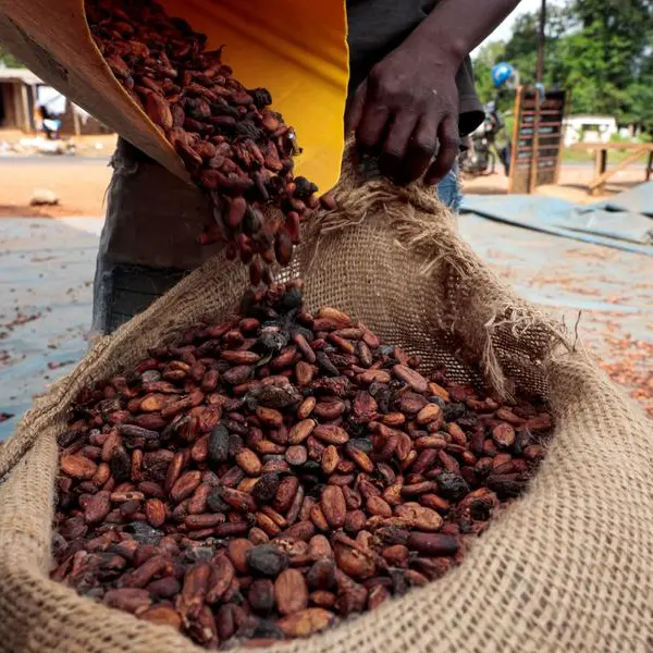 Ghana and Ivory Coast agree to start 2026/27 cocoa season on September 1