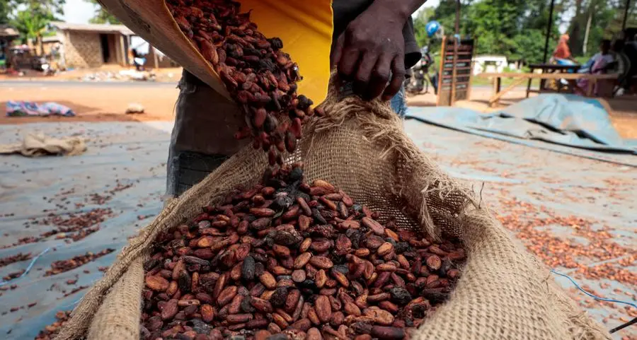 Ghana and Ivory Coast agree to start 2026/27 cocoa season on September 1
