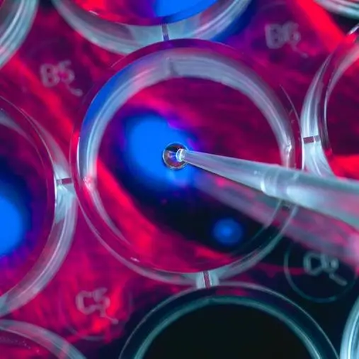 Mayo Clinic researchers identify a new stem cell patch to gently heal damaged hearts