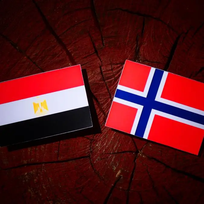 Egypt-Norway trade exchange records $217mln in 10 months