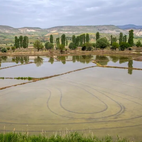 Jordan: Insights on enduring legacy of Udhruh’s agro-hydrological systems