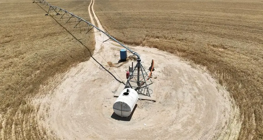 Iraq approves winter farming plan with focus on groundwater and modern irrigation