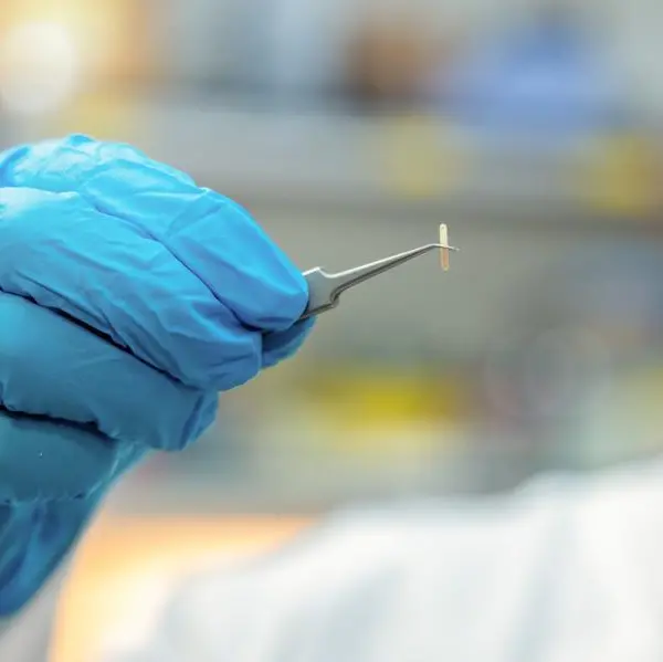 NYU Abu Dhabi and Cleveland Clinic Abu Dhabi researchers develop injectable device to control nerves without surgery