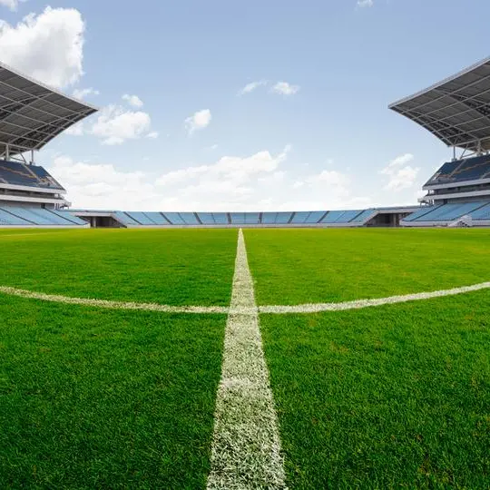 Saudi: Qassim boosts sports infrastructure with 19 football fields