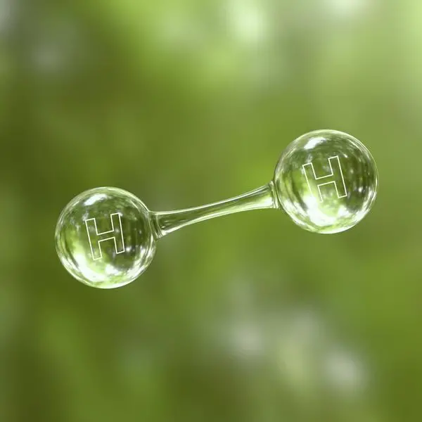 Comesa approves green hydrogen energy plan