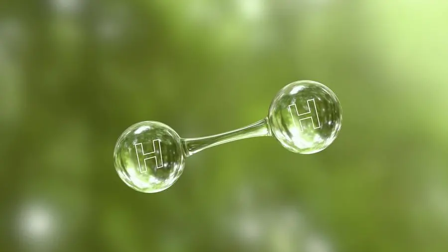 Comesa approves green hydrogen energy plan