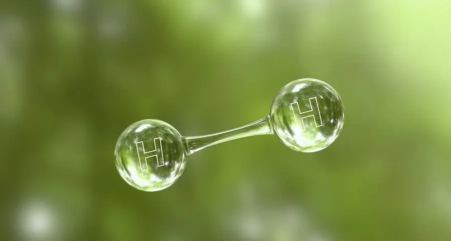 Comesa approves green hydrogen energy plan