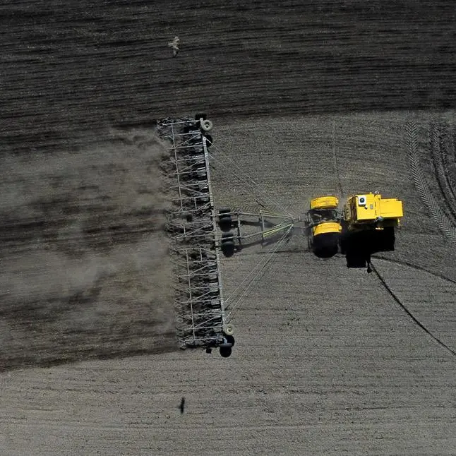 Wheat regains some ground after U.S. rainfall hits prices