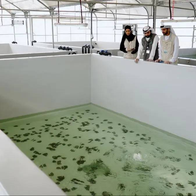 EAD executes region’s first freshwater oyster pearl aquaculture project