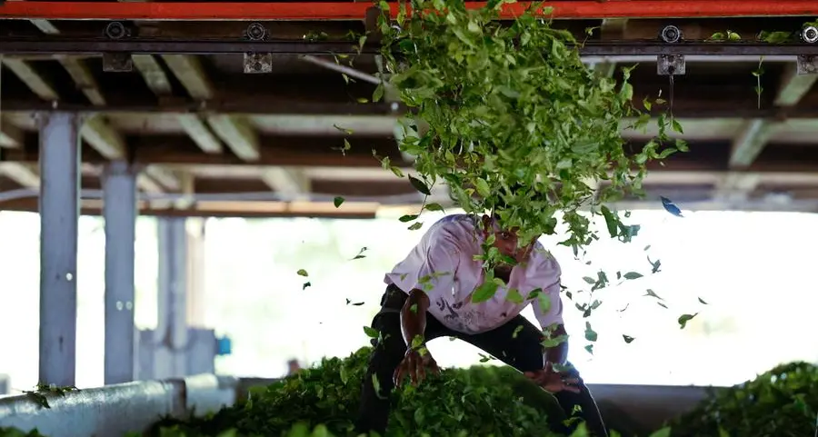 Trump tariff rollback offers relief for Indian farmers