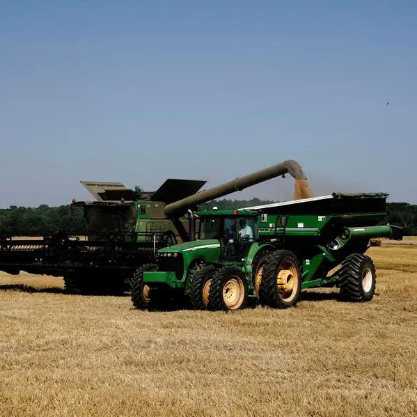 Wheat dips as US dollar finds its footing, still set for weekly gain