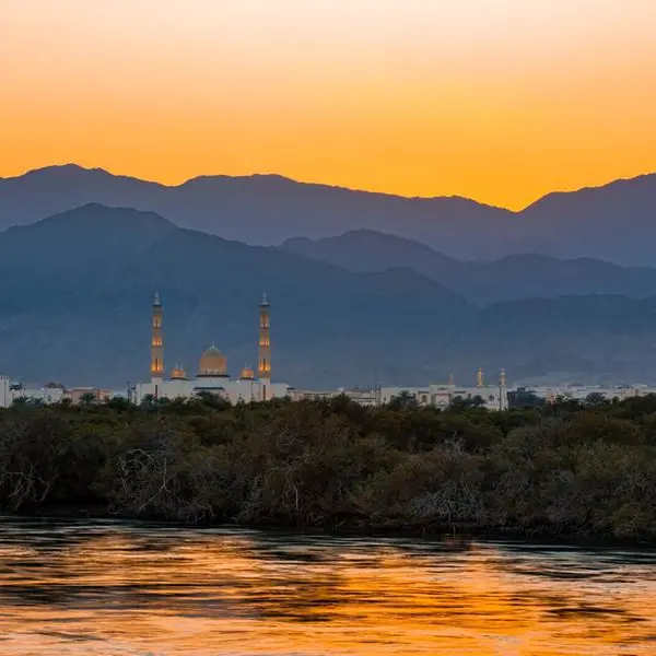 Sharjah Chamber, Hotels Sector Business Group to launch domestic tourism campaign