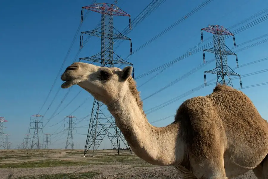 Kuwait cracks down on cryptocurrency mining amid power crisis