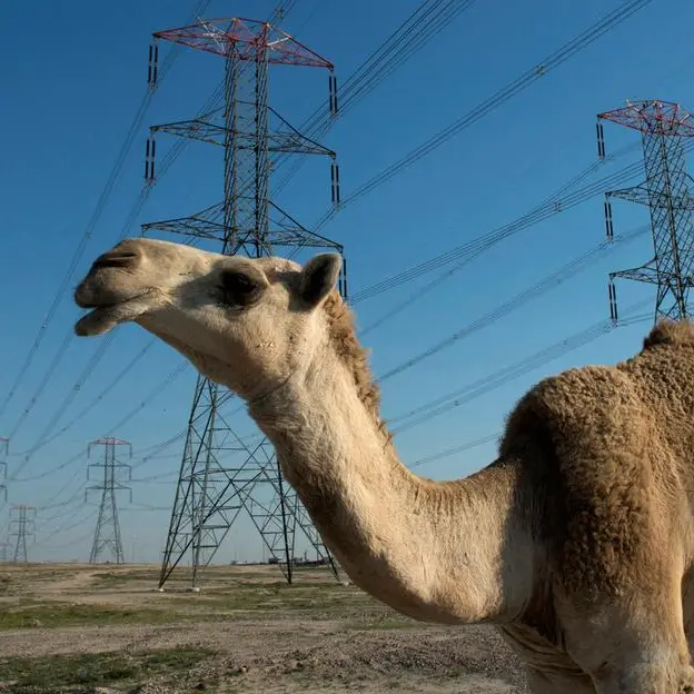 Five power lines back online in Kuwait following debris damage
