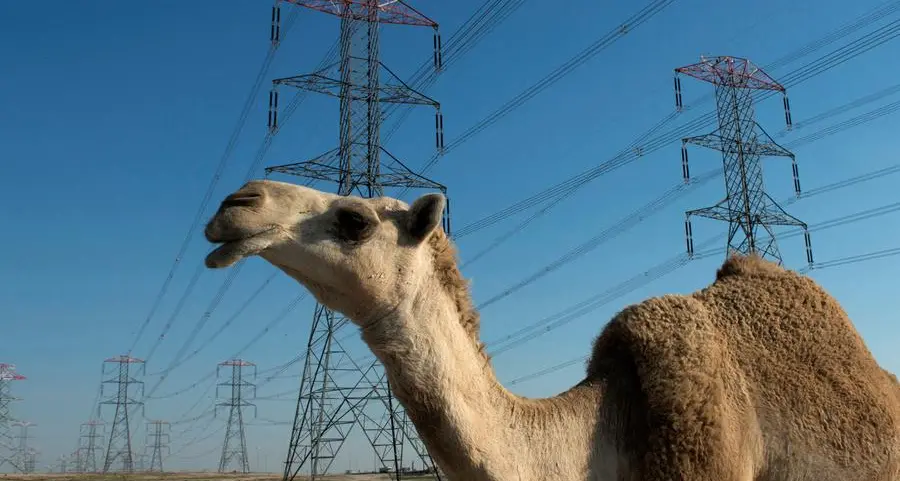 Five power lines back online in Kuwait following debris damage