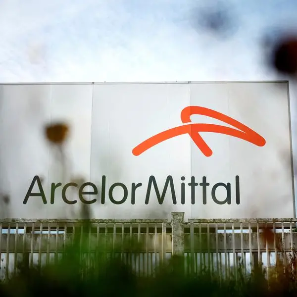 ArcelorMittal-Nippon say import curbs may hit India production, delay expansion