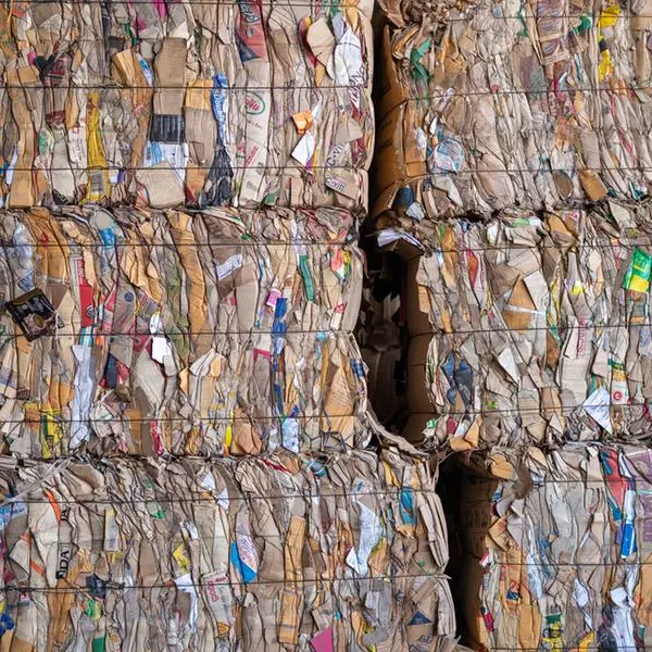 Egypt launches first national beverage carton recycling campaign with global partners
