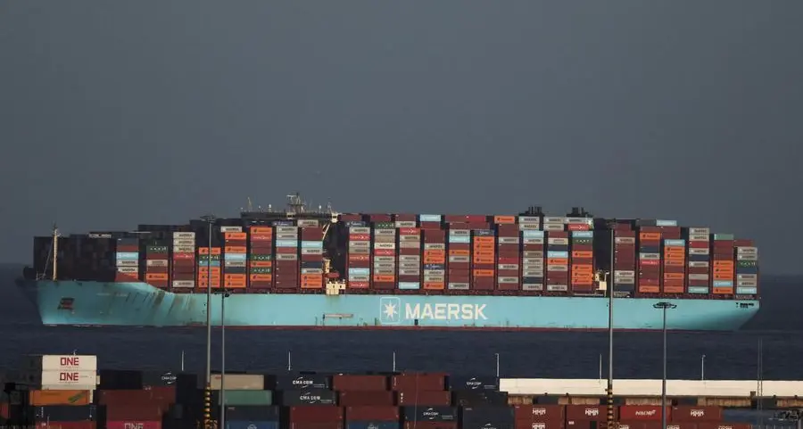 Maersk says Gulf land-bridge routes still have capacity for food, medicines