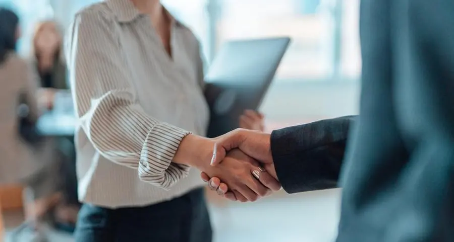 Lecico Egypt finalzies merger of subsidiaries