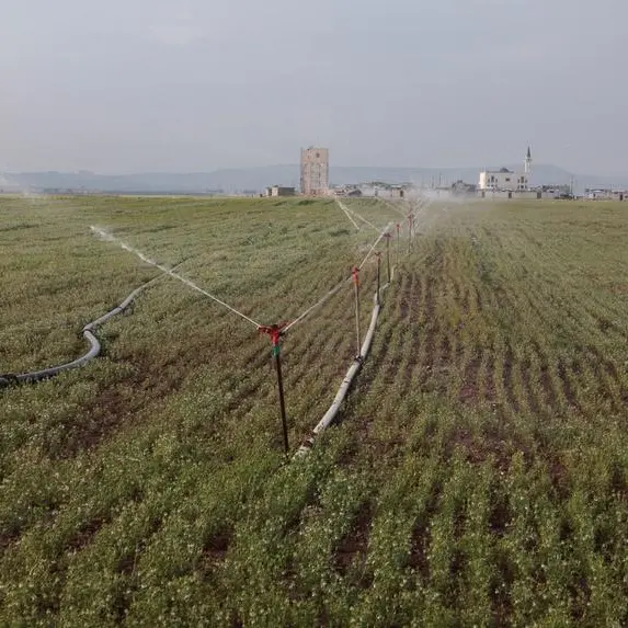 Drought-hit Syrian farmers hope sanctions reprieve will restore agriculture