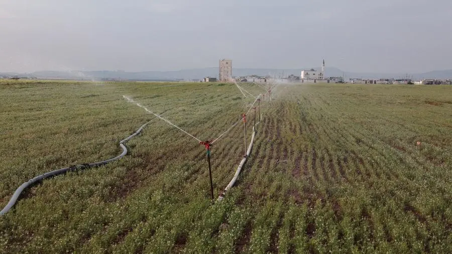 Drought-hit Syrian farmers hope sanctions reprieve will restore agriculture