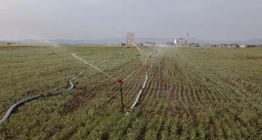 Drought-hit Syrian farmers hope sanctions reprieve will restore agriculture