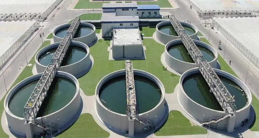 A strategic partnership supporting sustainable development in Egypt – The Bahr Al-Baqar project as a model