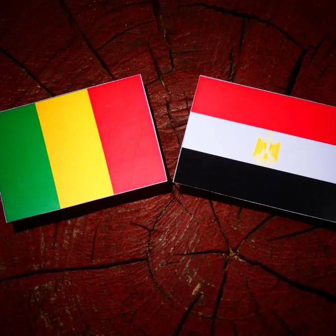 Egypt, Mali boost ties, pledge cooperation on security, development