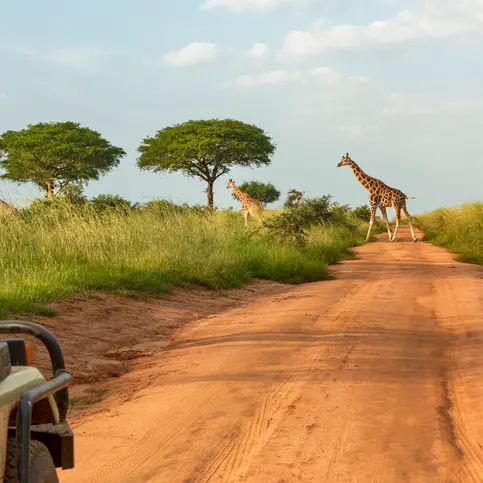5 best safari destinations in Africa