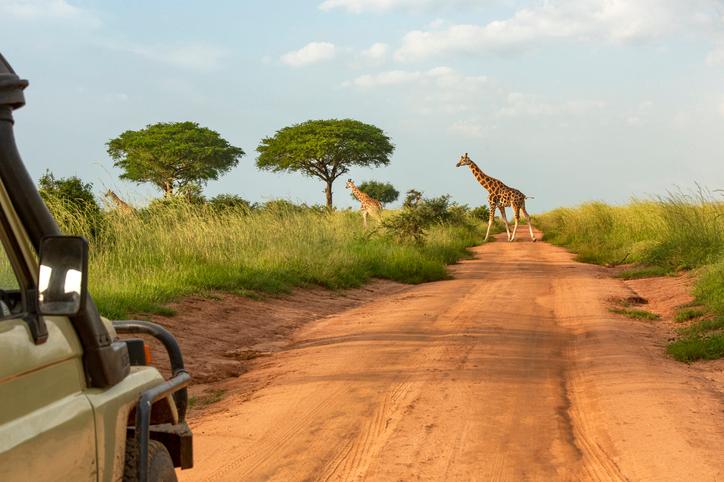 Why most of Africa is losing the tourism race before it even starts ?