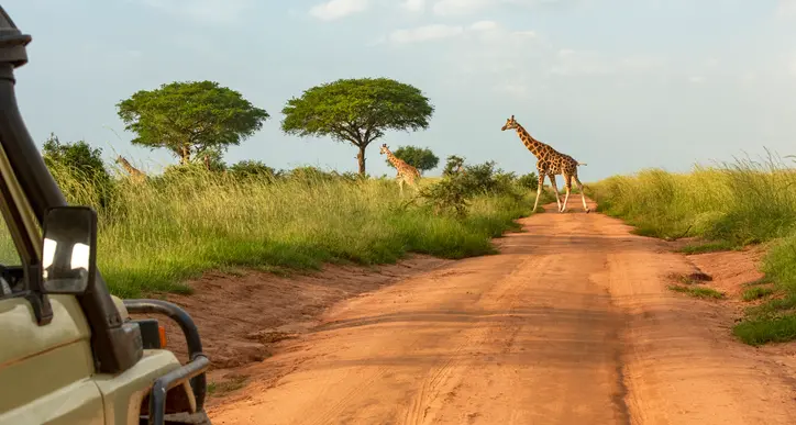 Why most of Africa is losing the tourism race before it even starts ?