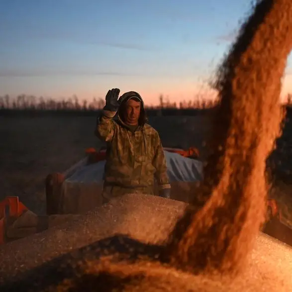 Jordan issues tender to buy up to 120,000 tons wheat, traders say