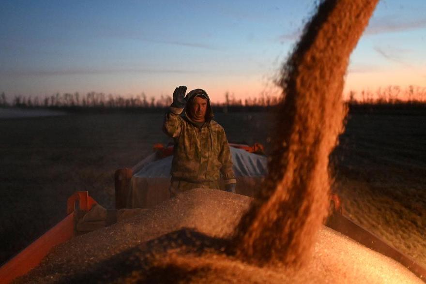 France to supply two thirds of Morocco's soft wheat needs, industry group says