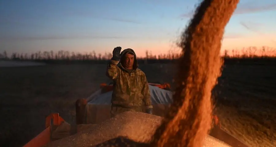 France to supply two thirds of Morocco's soft wheat needs, industry group says